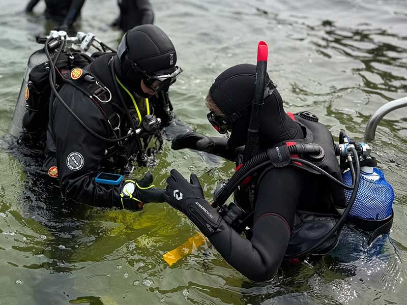 Instructeur begeleidt introductieduiker stap-voor-stap