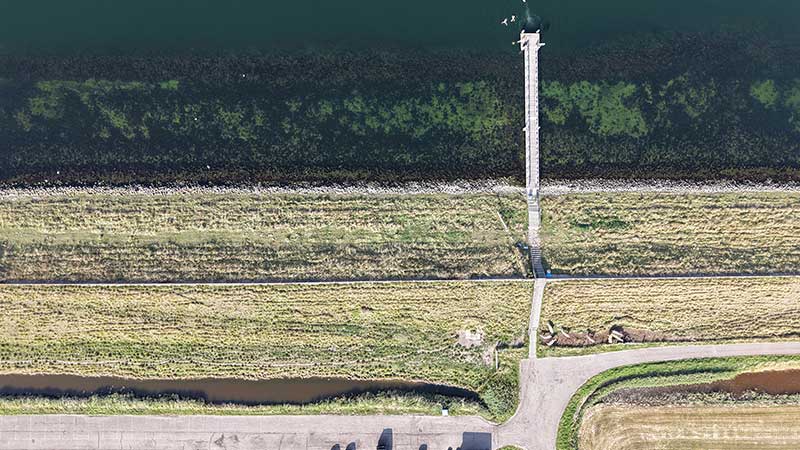 Frans Kok reef, Dreischor