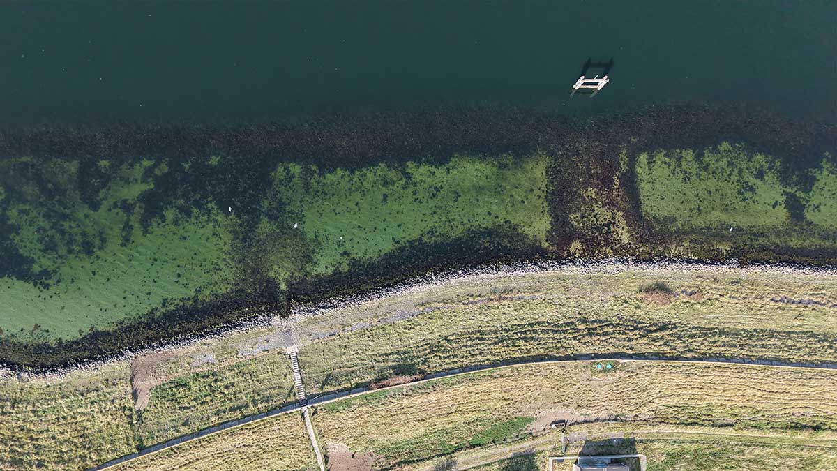 Dive site Gemaal in Dreischor, Grevelingenmeer