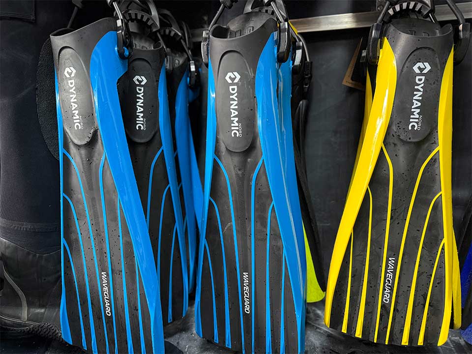 Tauchflossen von DynamicNord